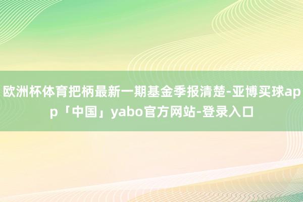 欧洲杯体育把柄最新一期基金季报清楚-亚博买球app「中国」yabo官方网站-登录入口