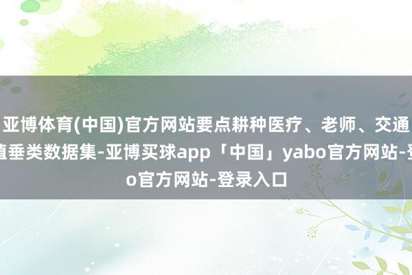 亚博体育(中国)官方网站要点耕种医疗、老师、交通等高价值垂类数据集-亚博买球app「中国」yabo官方网站-登录入口